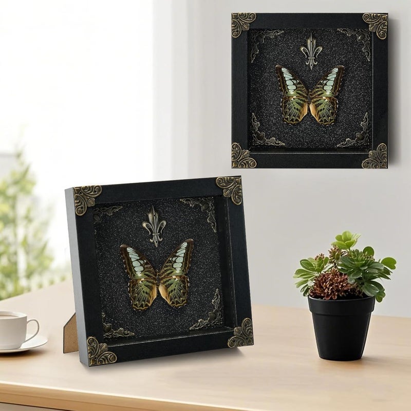 GDBEH Real Butterfly Framed Handmade - Taxidermy Butterfly Shadow Box - Real Framed Butterflies in a Box for Gothic Home Decor Aesthetic. (Green Beautiful Butterfly) - Image 4